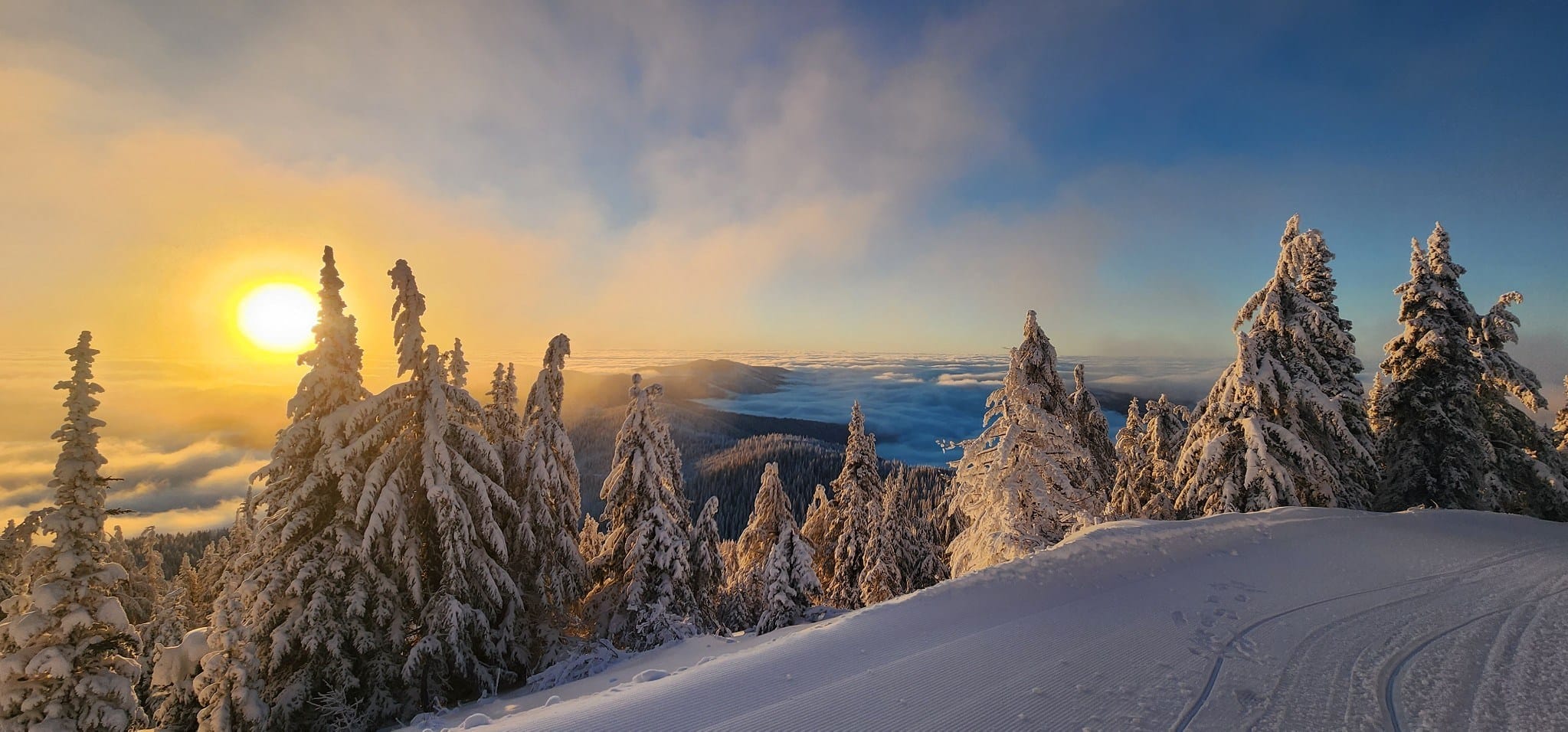 Upcoming Events desktop image