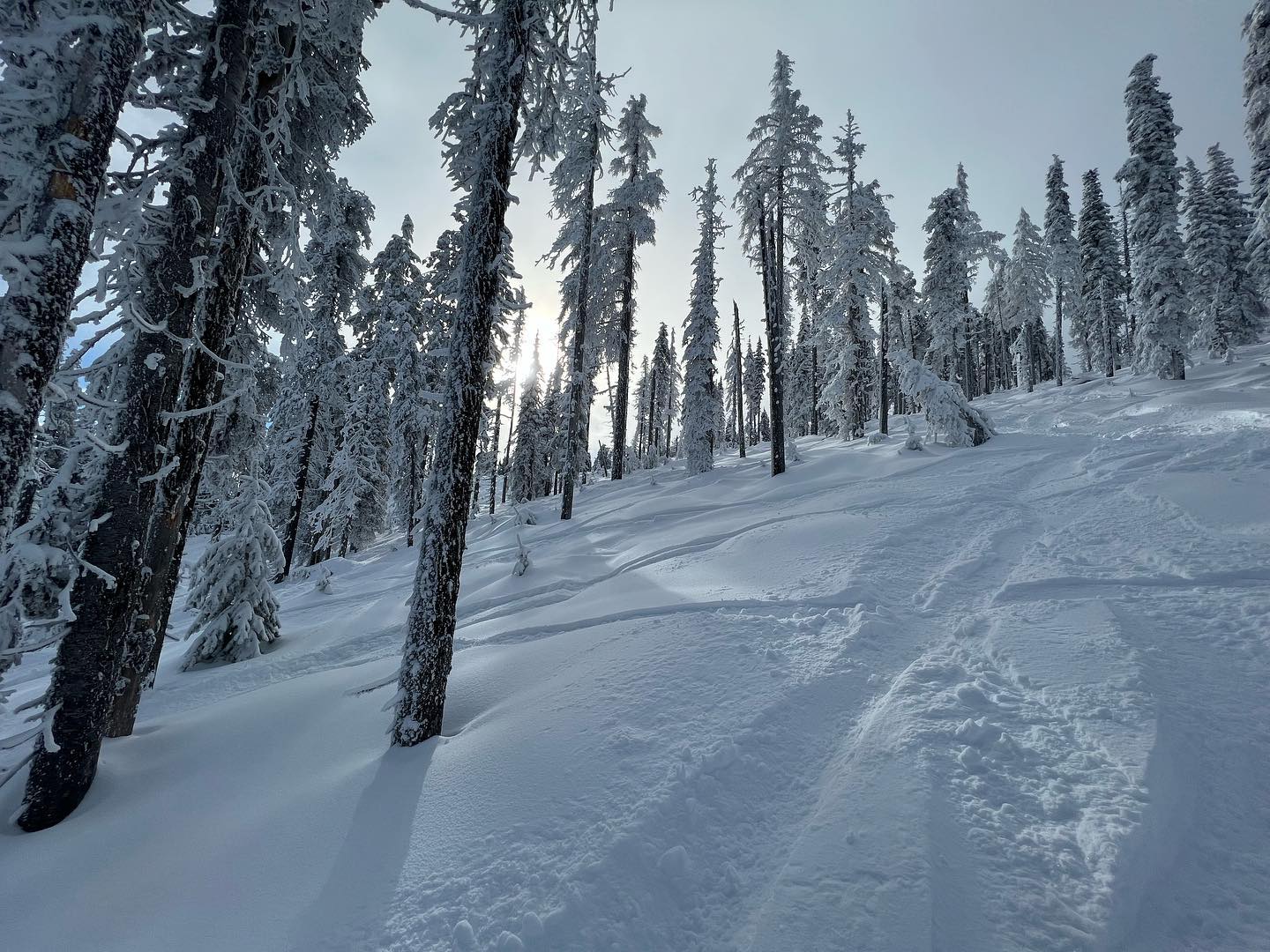 Winter Sports Foundation desktop image