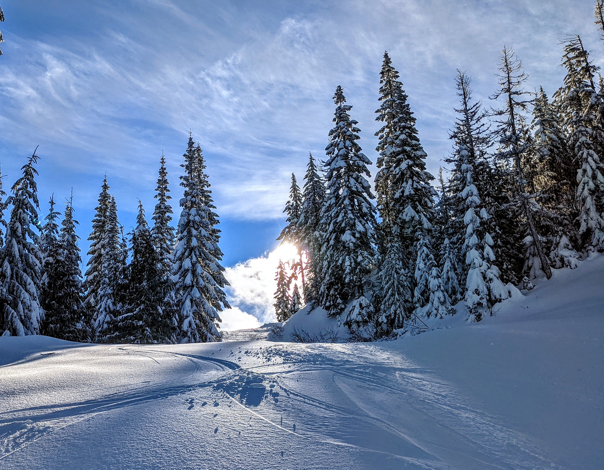 Winter Sports Foundation mobile image