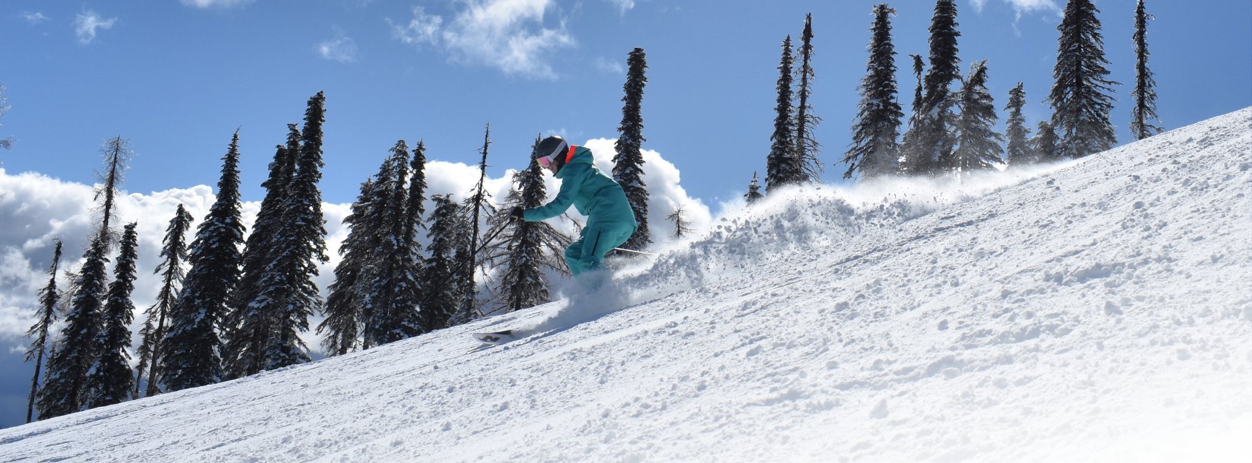 Teens & Adults Lessons (Ages 12 & Up)  desktop image