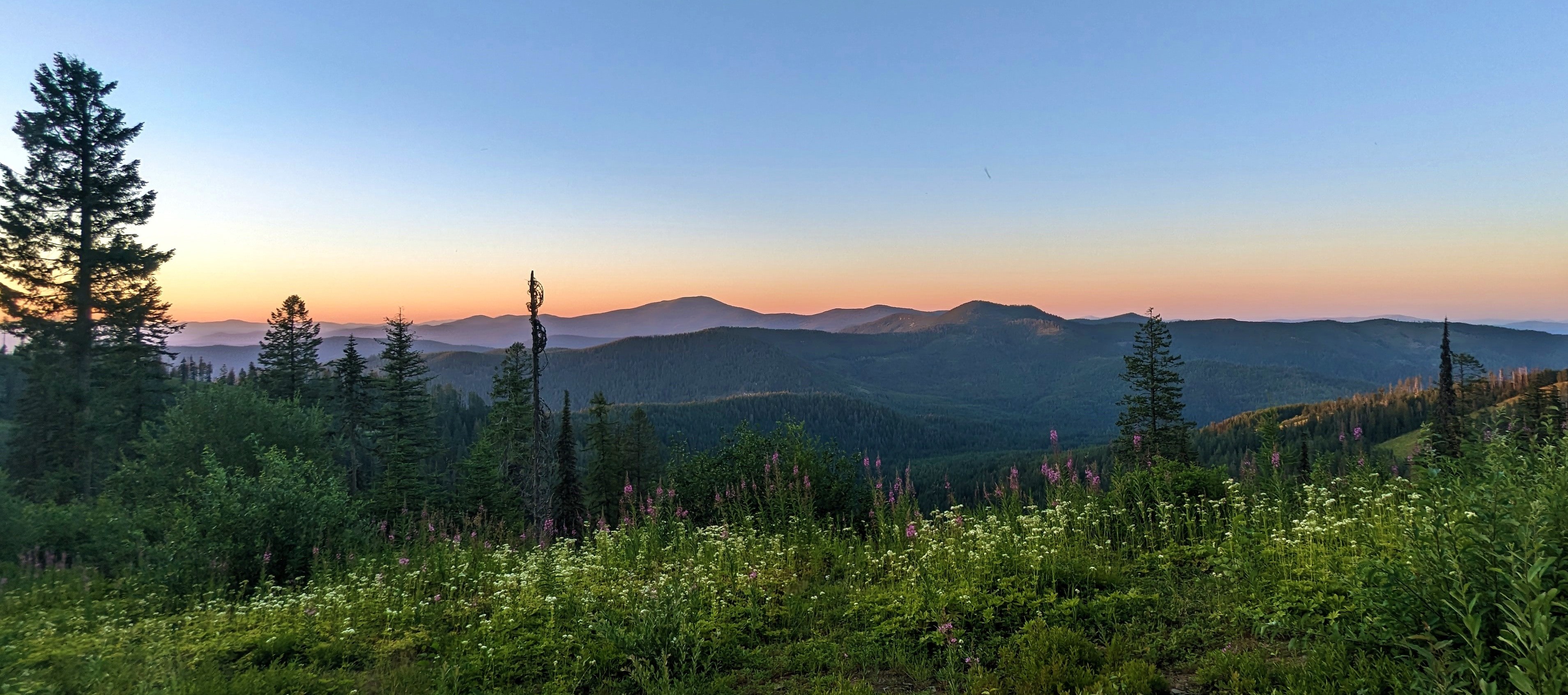 Summer desktop image