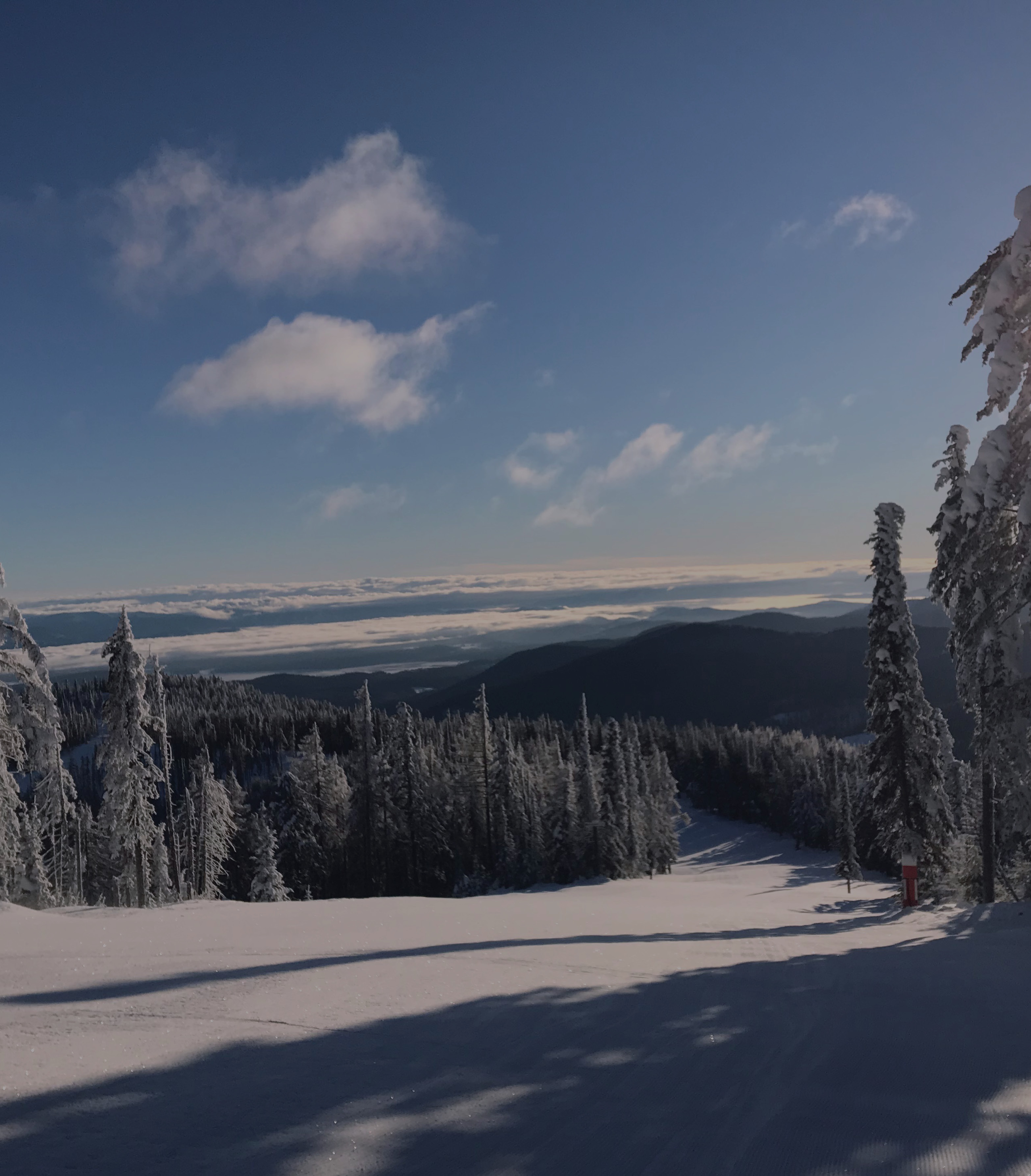 Freestyle Education & Etiquette mobile image