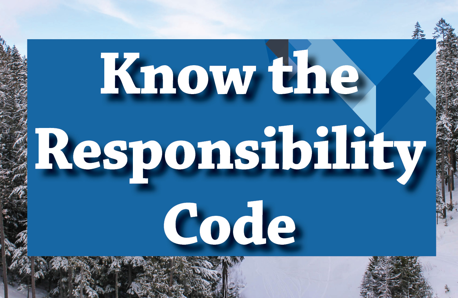 Responsibility Code